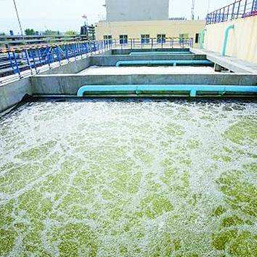 ��ˮ������������